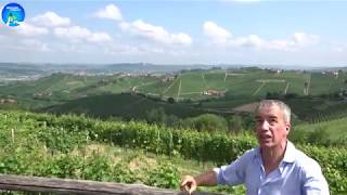 Aldo Vacca of Produttori del Barbaresco Cru Vineyards Walk Through Part 1 [upl. by Uhile5]