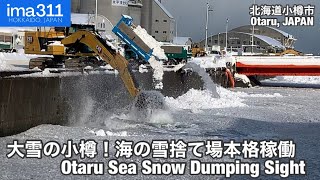 【雪捨て場】ユンボは今シーズンも海水まみれで奮闘！北海道小樽市 [upl. by Aitnic]