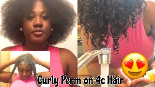 TRYING A CURL TEXTURIZER ON MY NATURAL HAIR 🥲 [upl. by Reitman]