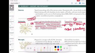 Astrocytes neurology 14  First Aid USMLE Step 1 in UrduHindi [upl. by Haleak166]