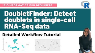 DoubletFinder Detect doublets in singlecell RNASeq data in R  Detailed workflow tutorial [upl. by Nnylanna]