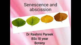 senescence and abscission of leaves [upl. by Aniv]