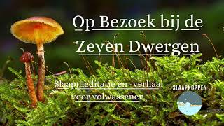 Op Bezoek Bij De Zeven Dwergen  Slaapmeditatie en verhaal [upl. by Aihsa428]