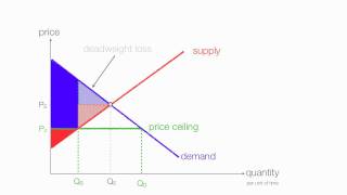 How to calculate changes in consumer and producer surplus with price and floor ceilings [upl. by Nannah]