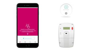 Essent Zakelijk App zo koppelt u de app aan uw slimme meter [upl. by Adnema]