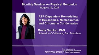 ATPDependent Remodeling of Hexasomes Nucleosomes and Chromatin Condensates  Geeta Narlikar [upl. by Berlinda394]