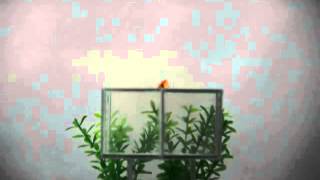 Invisibility cloak hides cats and fish [upl. by Shutz]