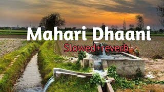 Mahari Dhaani main slowed reverb  Haryanvi song160K [upl. by Ojimmas]