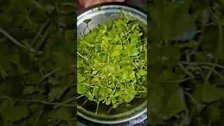 thankuni pata bora jevabe banai shortvideo shortsviral foodshorts foodvlog shortsfeed [upl. by Nadabb]