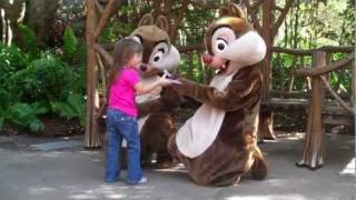 Meeting Chip and Dale at Disney World [upl. by Uohk]