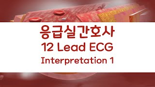 응급실 간호사를 위한 12 Lead ECG 입문 12 Lead ECG Interpretation for ER nurses 1 [upl. by Ademordna]