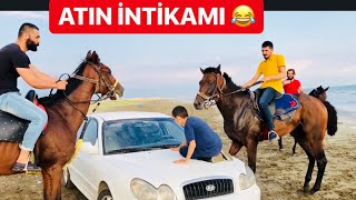 YARIŞ ATLARI İLE SAFARİ YAPTIK SİNANA  PUSU [upl. by Krefetz]