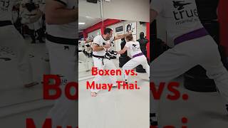 👉 Boxen vs Muay Thai ✅️ Vom Weltmeister Kickboxen Selbstverteidigung [upl. by Vinna]