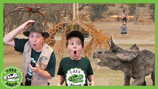 Animal Adventure at the Zoo  TRex Ranch Dinosaur Videos [upl. by Aleyam473]