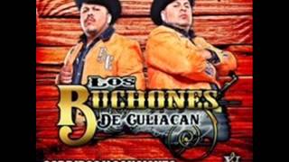 MIX Los Buchones De Culiacan quotDisco Completoquot Corridos Y Canciones Álbum 2014 [upl. by Eilesor]