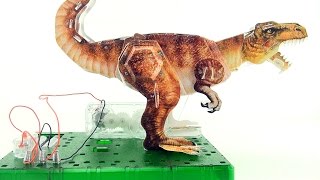 Tyrannosaurus Rex Electric Motor 3D Puzzle  Dinosaur model of TRex  3D Dinosaurs Speed build [upl. by Gnaht]