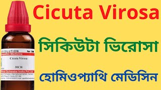 Cicuta Virosa Homeopathic Medicine Explain Cicuta Virosa 30 Cicuta Virosa 200 সিকিউটা ভিরোসা [upl. by Niad]