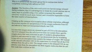 Why is the acetyl group attached to oxaloacetate [upl. by Ynnaf542]