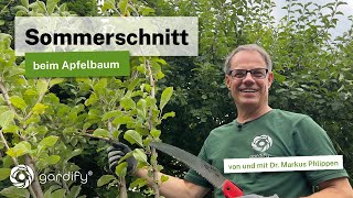 Sommerschnitt beim Apfelbaum Obstbäume durch Schnitt klein halten 4 wichtige Tipps [upl. by Adyaj]