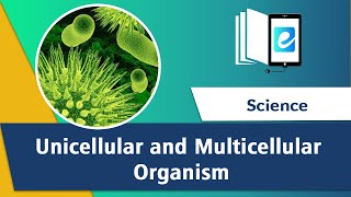 Science Unicellular and Multicellular Organisms for kids of class 6 [upl. by Lyrahc]