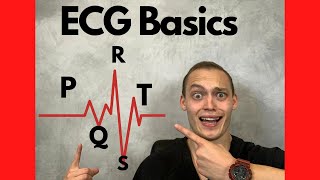 The Basics of ECGEKG [upl. by Nellaf]