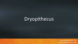 How to pronounce quotDryopithecusquot [upl. by Livi]