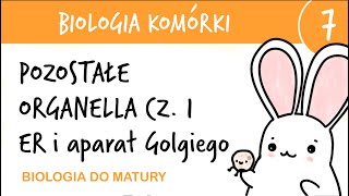 Cytologia 7  Pozostałe organella cz1 ER i aparat Golgiego  biologia rozszerzona matura liceum [upl. by Esetal]