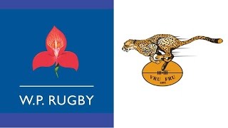 1997 Currie Cup Final  Western Province vs Freestate [upl. by Wane]