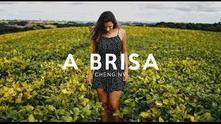 A Brisa  Canon 80D Slow Motion [upl. by Primalia]