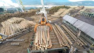 Logs to Lumber  An aerial journey through the sawmill [upl. by Harle]