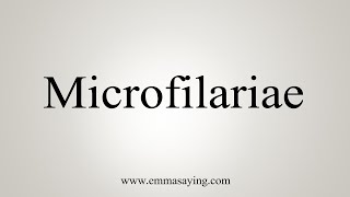 How To Say Microfilariae [upl. by Bradan]