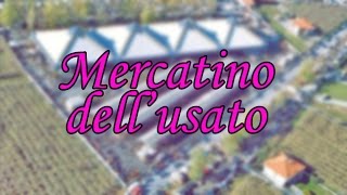 VLOG Mercatino dellusato e piccolo aniquariato di Borgo dAle [upl. by Demmahum815]