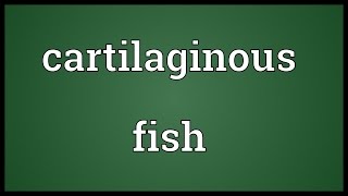 Cartilaginous fish Meaning [upl. by Ahsinirt]