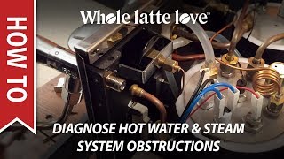 How To Diagnose Espresso Machine Hot Water or Steam System Obstructions [upl. by Aknahs]