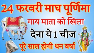 24 फरवरी माघ पूर्णिमा पर गाय माता को खिला दें ये एक गुप्त चीज होगी हर मनोकामना पूर्ण [upl. by Celie314]