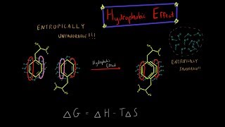 The Hydrophobic Effect and Entropy Biochemistry MADE SUPER SIMPLE [upl. by Yerrot503]