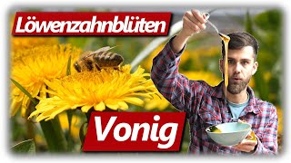 Löwenzahnblüten Vonig machen kein Honig  Sirup Anleitung Schritt für Schritt und Verkostung [upl. by Fraze696]