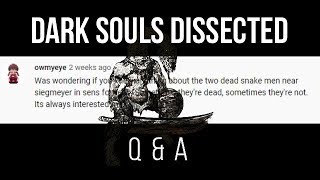 Dark Souls Dissected 6  QampA Dead Snakes in Sens Fortress [upl. by Julissa279]