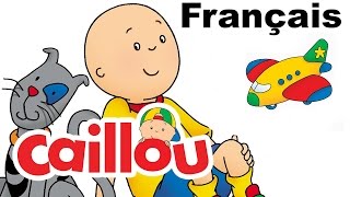 Caillou FRANÇAIS Série 1 Partie 6  conte pour enfant  Caillou en Français [upl. by Ahsayn]