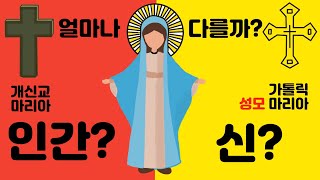 신인가 인간인가 가톨릭천주교의 성모 마리아와 개신교기독교의 마리아 차이 전격 비교  가톨릭 교황이 말하는 성당의 마리아와 개신교 성경이 말하는 교회의 마리아 다른점 [upl. by Eellek35]