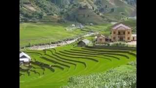 Sapa Tour Package From Hanoi by DeluxeVietnamTourscom [upl. by Tracay844]