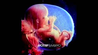 MoTrip  Embryo [upl. by Elitnahc334]