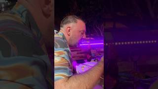 Curry challenge phaal curry  tandoori hut Tenerife trendingshorts tenerife canaryislands [upl. by Margaretta327]