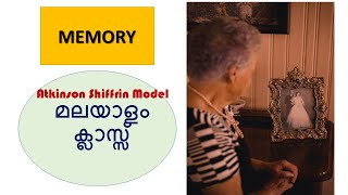 Memory Atkinson Shiffrin Model [upl. by Dianuj]