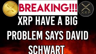 DAVID SCHWART REVEALES RIPPLE XRP HAVE A BIG PROBLEM [upl. by Yeltihw377]