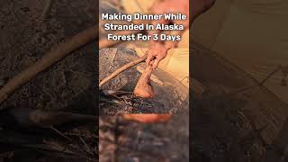 Cooking Dinner While Camping For 3 Days In Alaska Forest [upl. by Ryle]