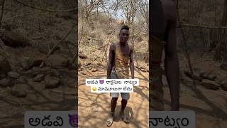 ఆఫ్రికా లో 🇹🇿 అడవి మనుషుల నాట్యం  Hadzabe Tribe Sing amp Dance Africa Tanzania Ram The Traveller [upl. by Noitna168]