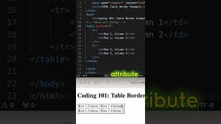 HTML Coding QampA 19 Add a border to a table in HTML html htmlcoding css shorts [upl. by Eenimod]