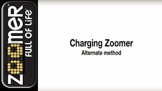 Zoomer  Alternate Charging Method Troubleshooting [upl. by Malda576]