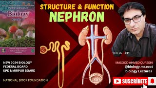 Nephron  Structure amp Function  biology  grade 12  Urdu Hindi English  Federal KPK Mirpur Board [upl. by Uchida]